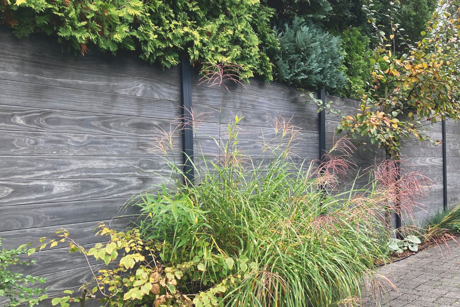 Ambiente VivaView Accoya Zaun Ambiente